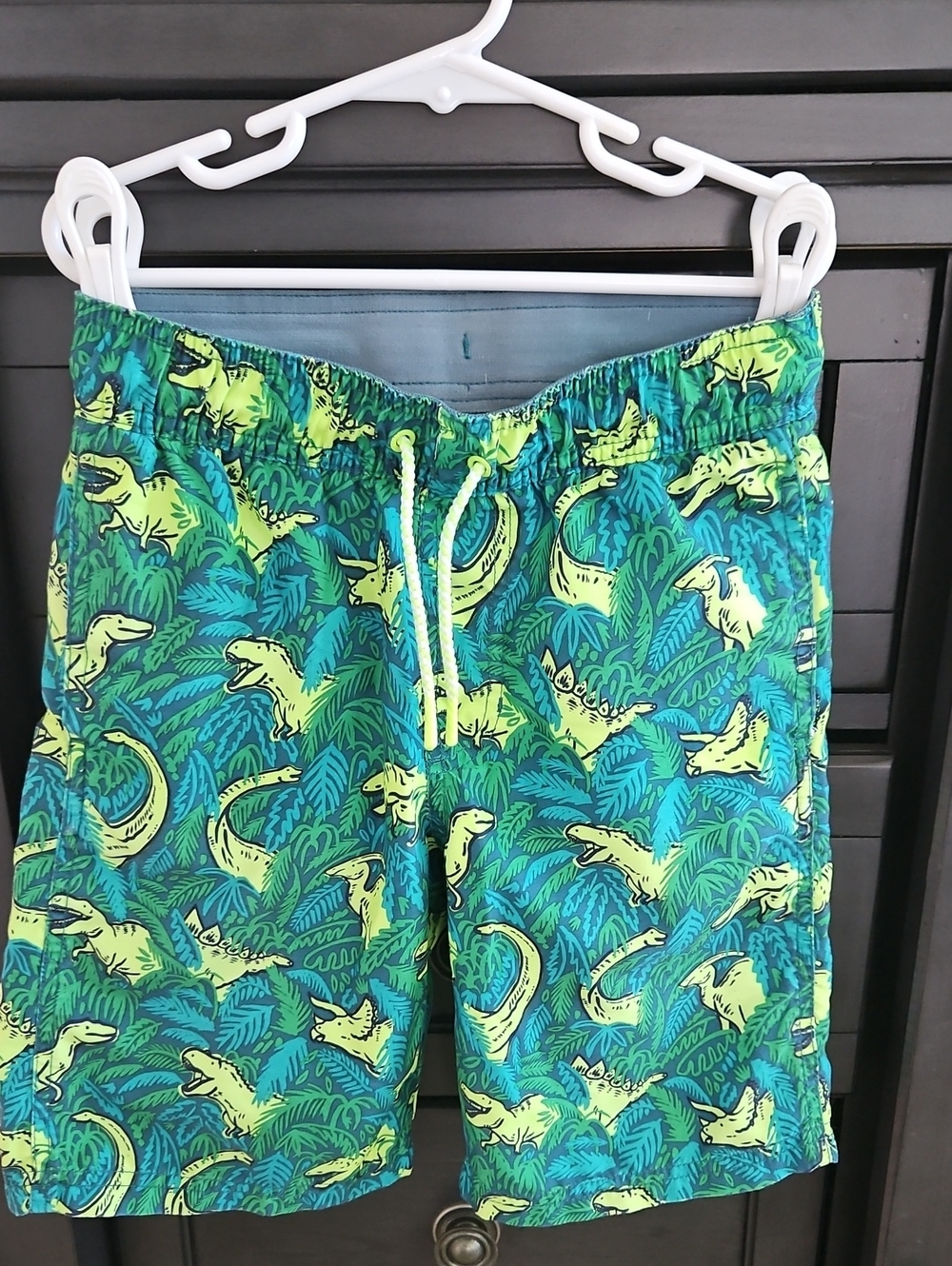 Teal & Yellow Dino Print Swim Shorts